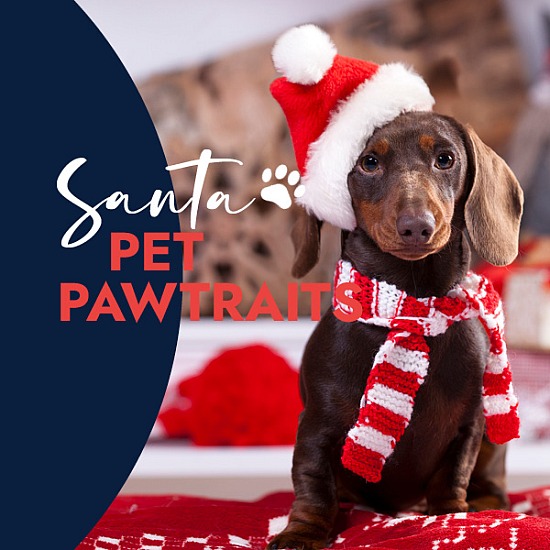 Ballina Fair Pet Pawtraits with Santa 2025